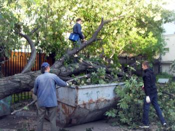 «РеставросЪ»: Помощь храму Живоначальной Троицы на Грязех после урагана